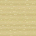 D5 005